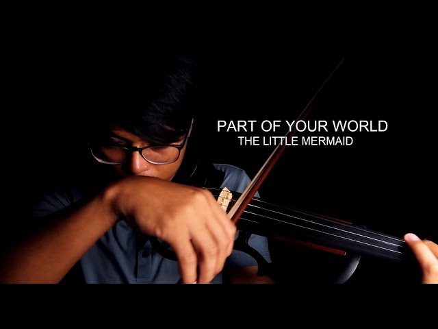 Part Of Your World - The Little Mermaid - Violin Cover by Vince Impas