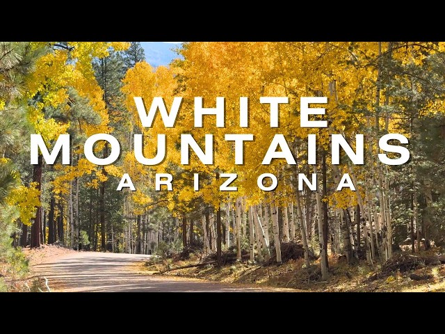 Best Small Towns in Northern Arizona White Mountains 2025