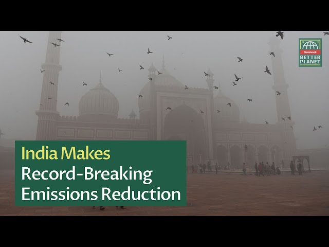 India Makes Record-Breaking Cut To Emissions