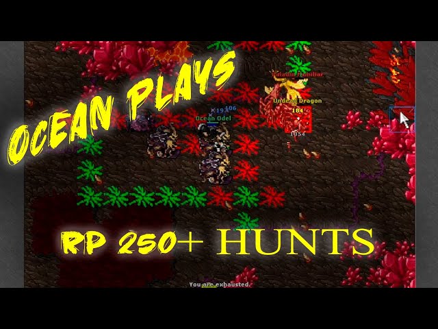 TIBIA RP 250+ HUNT #TIBIA #HUNT #PALADIN