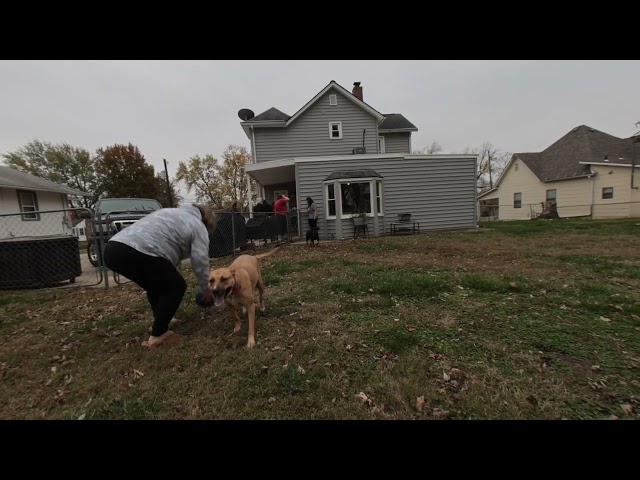 Becca with Allie and Dilly vr