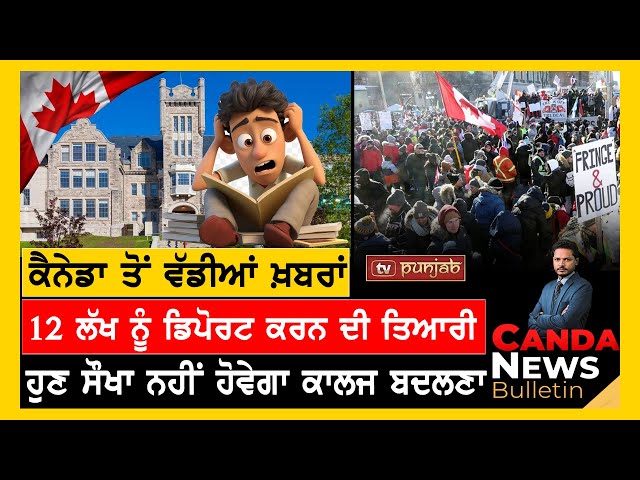 Canada Punjabi News Bulletin | November 19, 2024  | TV Punjab