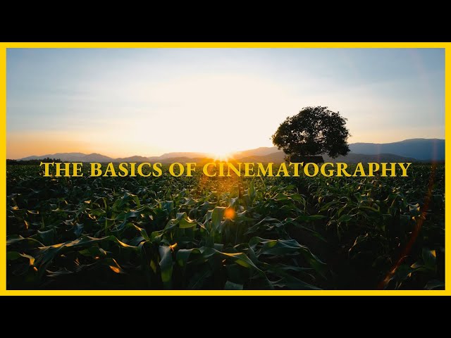 The Basics of Cinematography - Filmmaking for Beginners