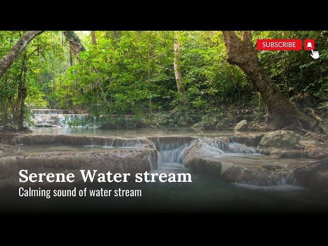 Relax your mind with this sound of water stream|| sleep music ||Meditate