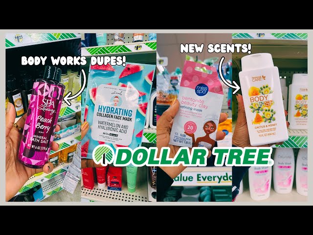 DOLLAR TREE* NEW FINDS 2024 | NEW Dollar Tree Dupes + Skincare, Haircare & Makeup | Charity x Style