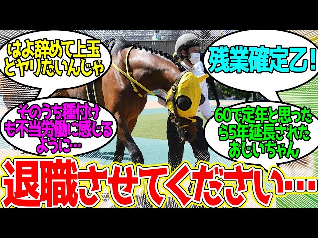 ウシュバ ← 最後とか言ってたのにやってらんねーぜ…に対するみんなの反応！【競馬 の反応集】