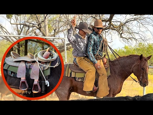 We Try Roping In A Double Saddle