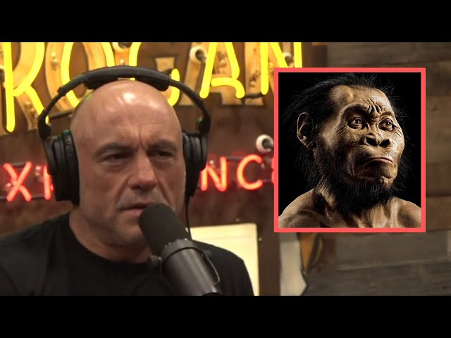 JRE | Homo naledi, your recently discovered human relative