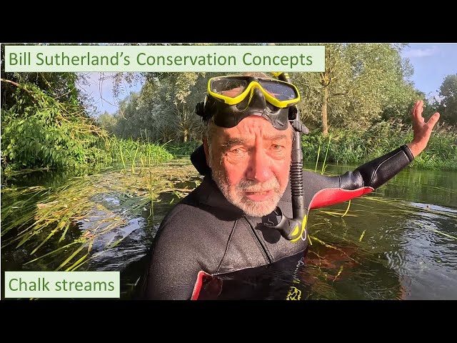 Chalk stream ecology and conservation