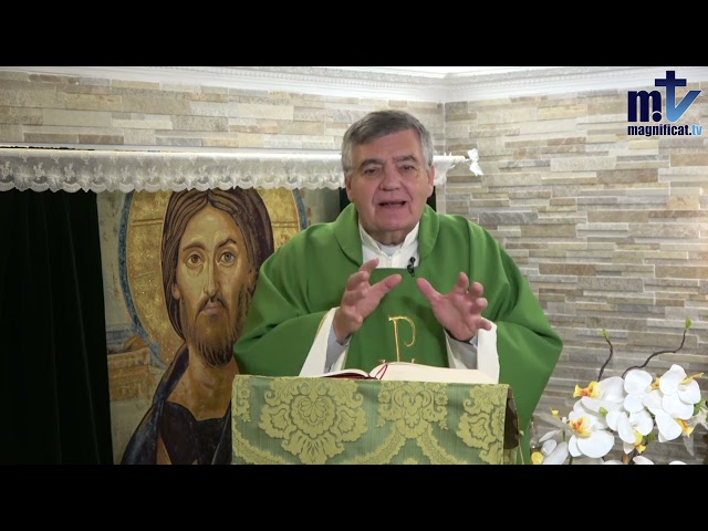 Jesús te conoce y te quiere |Martes, XXXIII semana del Tiempo Ordinario|19-11-24 |P. Santiago M., FM