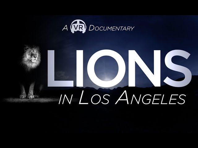 Lions in Los Angeles - A 360 VR Documentary