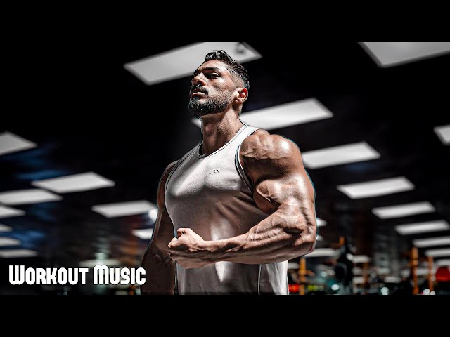 Best FIGHT Workout Music 2024 🔥 Gym Motivation Songs 2024 🔥 Fitness Music & Gym Motivation Music Mix