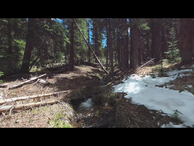 Nature Escape Rocky Mountain Stream VR180 VR 180 Virtual Reality Zen Colorado Rockies   15jun20 2  0