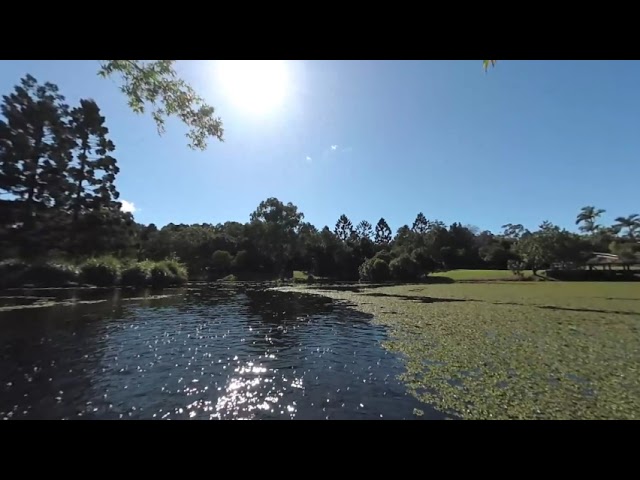 Australia - Queensland - Gold Coast - Regional Botanic Gardens (VR180) View above the water 02