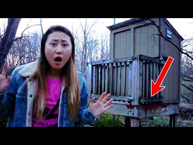 SEARCHING FOR STEPHEN SHARER (HAUNTED ABANDONED HOUSE 😱)