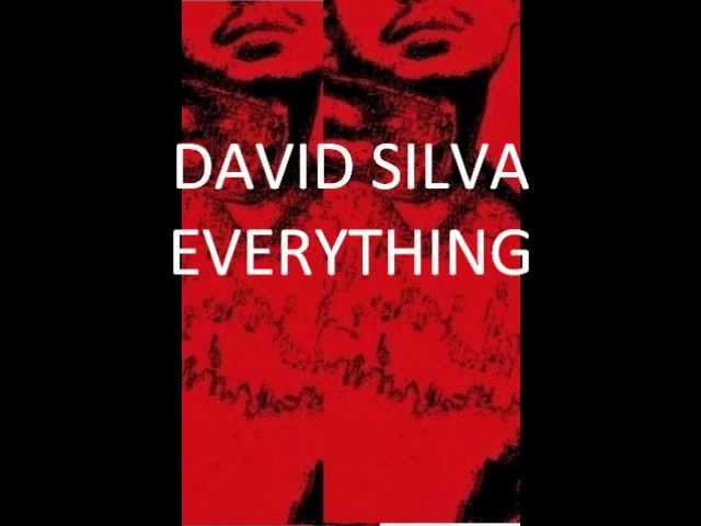 MUZICK1980-EVERYTHING- BY DAVID SILVA wmv