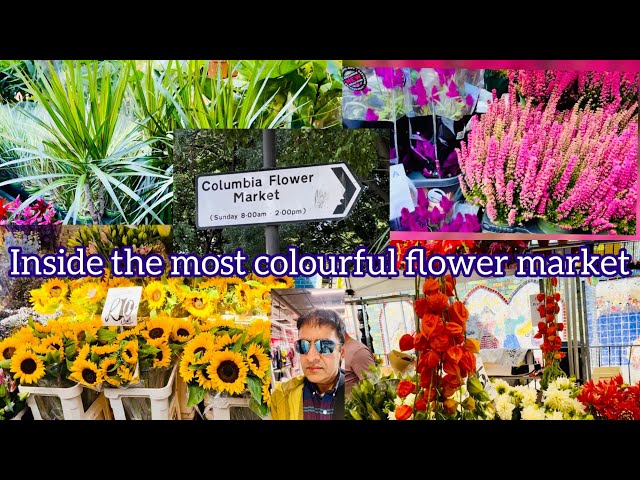 @TravelTalesByMuqs A vibrant haven of colour and fragrance Columbia flower market #flowermarket