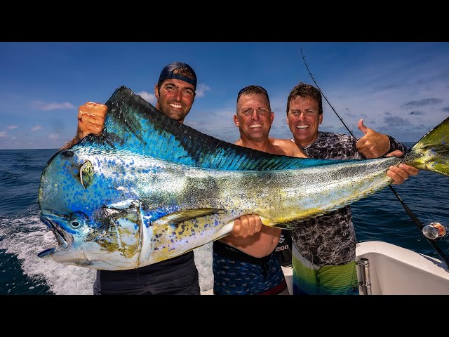 MONSTER MAHI MAHI on Ultra Light Rod!! {Catch Clean Cook} Buena Vista Sportfishing, Guatemala