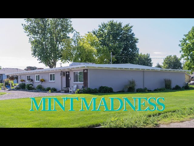 Mint Madness