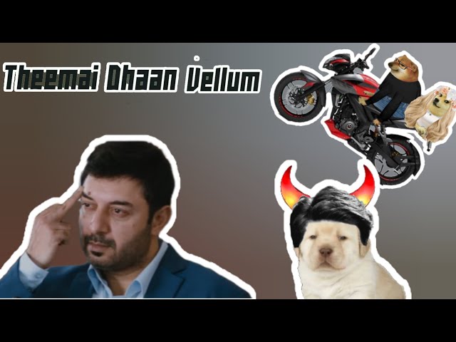 Killer Perro 😈 | love comedy | cheems videos | comedy videos | funny videos tamil