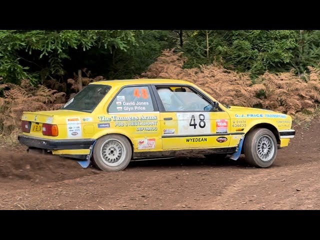 WYEDEAN RALLY 2024 (EVO CRASH)