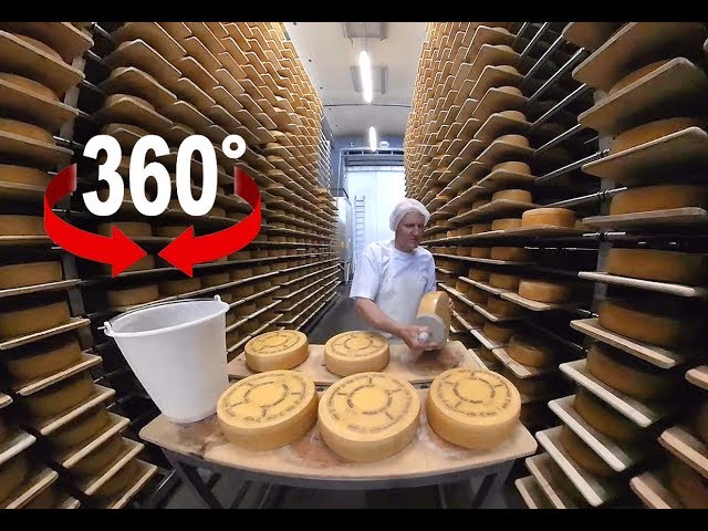 How to produce world famous Appenzell cheese I Switzerland I 360 Video