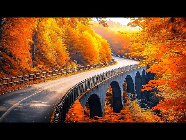 ENJOY EVERY MOMENT OF THE WEEKEND 😍 October Autumn 🍁Gentle Music Restores Nervous System Satisfies