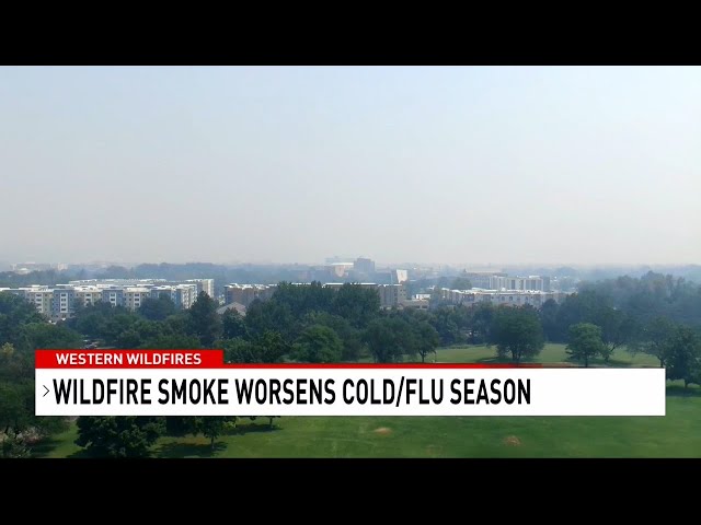 Wildfire smoke effects linger, potentially worsening winter flu season