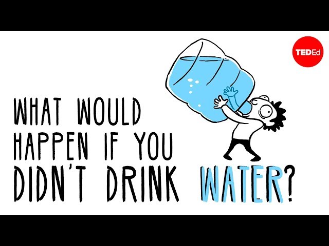 What would happen if you didn’t drink water? - Mia Nacamulli