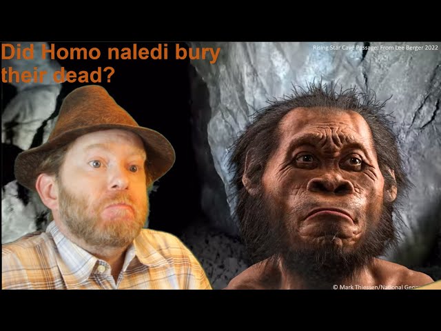 Homo Naledi Burial? A Public Peer Review of the Evidence #RealArchaeology