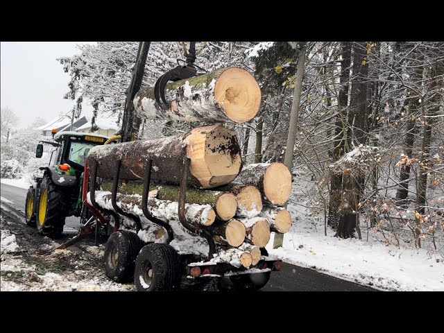 Pokračujeme v těžbě podél silnice/ tahání 6 m³ smrku 🌲a odvoz kulatin 🪵