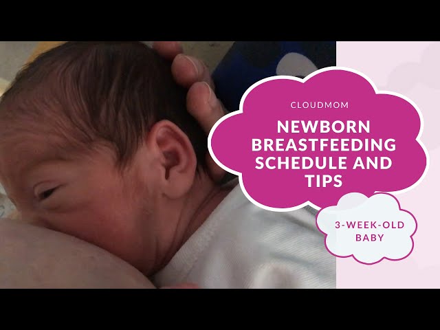 3 Week Old Baby: Newborn Breastfeeding Schedule and Tips | Subt. ENG/ FR/ ES/ ZHO_CN | CloudMom