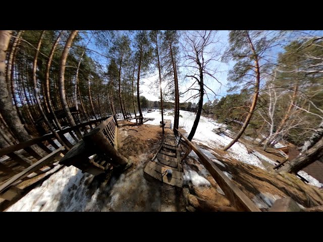 360° Virtual Forest Walk VR | GoPro Max Static Nature Scenes | Прогулка по лесу в 360°