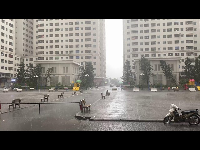 Heavy Storm - Continuous Rain and Thunder Sounds, Thunderstorm Rain for Sleeping, Relaxing, Studying