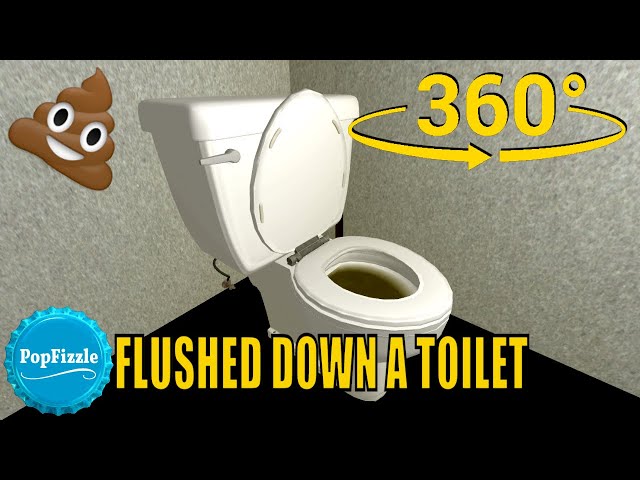 360 video | VR | Flushed down a toilet version 2 #360video