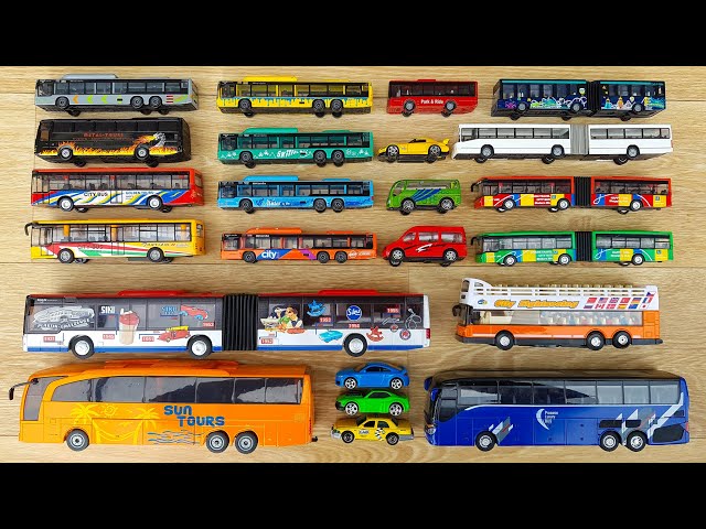 Buses Collection - Long Buses, Small Buses, Buses Colors & More! A great selection of buses