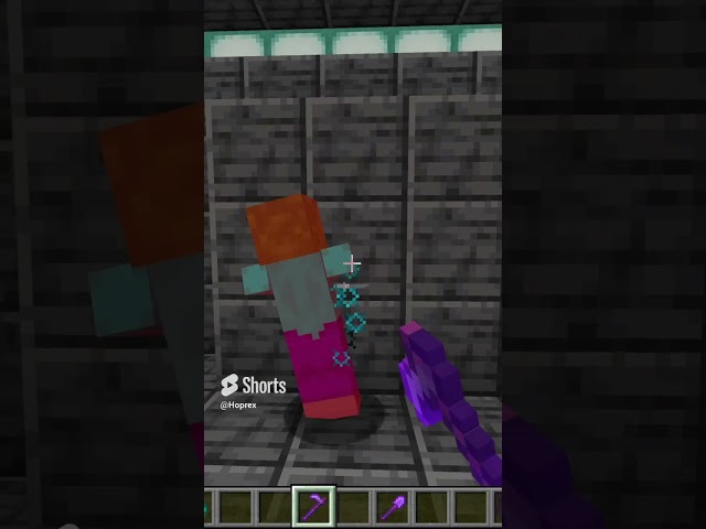 Hoe or Shovel? - Minecraft #shorts