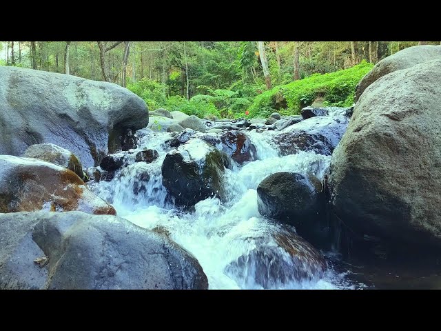 Waterfall Gentle Stream Sound in forest Waterfall Sounds Flowing Water White Noise for Sleep