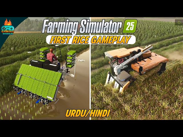 FS 25 Gameplay! Planting and harvesting rice in Farming Simulator 25