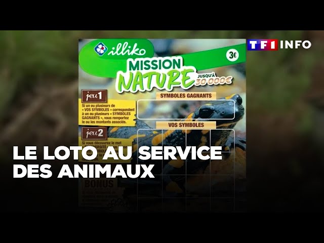 Le Loto au service des animaux｜TF1 INFO