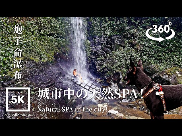 5K 360 VR Taiwan Dog 台灣犬Taipei Walk 炮子侖瀑布蹓狗 Dog Walk Paozilun Waterfall | Taiwan Walk Asmr Flaneur