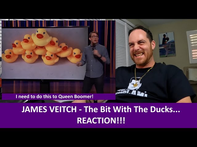 American Reacts to JAMES VEITCH The Bit with the Ducks REACTION