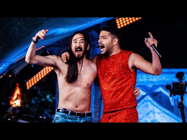 Steve Aoki Ft Pedro Sampaio - Cavalinho | Tomorrowland Brasil 2024