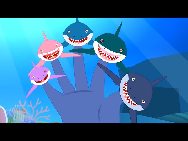 Shark Finger Family | Baby Shark Song | Nursery Rhymes and Baby Song | Cartoons for Children