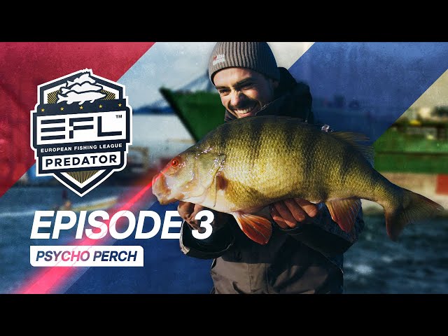 Psycho Perch - Episode 3 EFL 2023