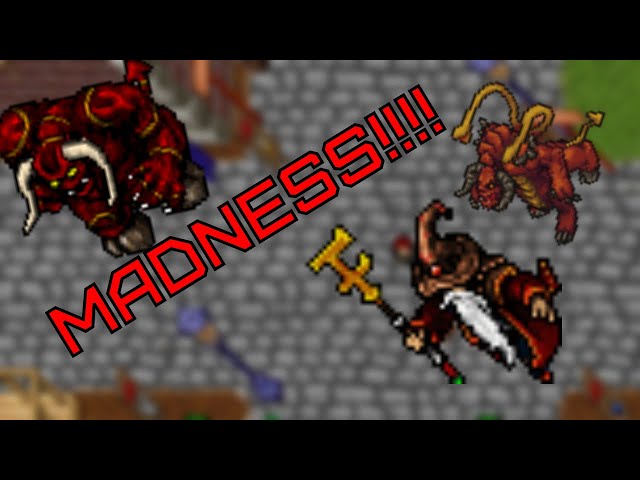 This was CRAZY! Tibia monster rampage testserver summer update 2022