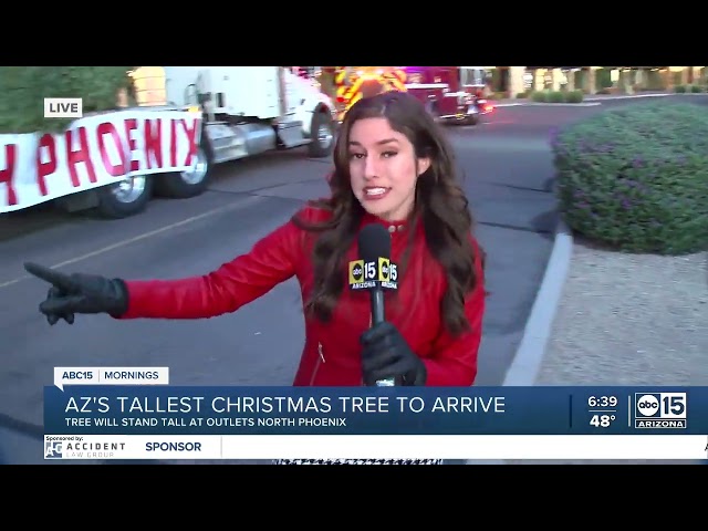 Arizona's tallest fresh-cut Christmas tree arrives in Anthem