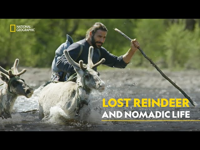 Lost Reindeer and Nomadic Life | Primal Survivor China| हिंदी | Full Episode | S1 - E3 | Nat Geo