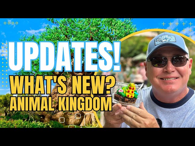 Updates! Good Day at Disney's Animal Kingdom | Yeti Incident on Everest