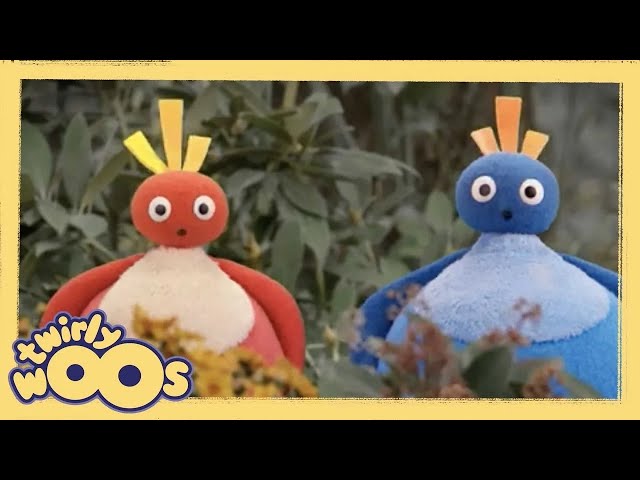 Up | Twirlywoos | Videos for Kids